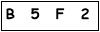 salt-312FF5A9