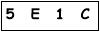 salt-9D384E9C
