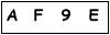 salt-475C6529