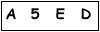 salt-53A37413