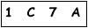 salt-9D58295F