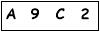 salt-775D6795