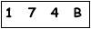 salt-661D7754