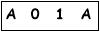 salt-2D4EEBC8