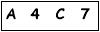 salt-FE15CF40