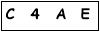 salt-2BE353E7