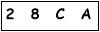 salt-C0638EA7