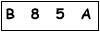salt-303637AA
