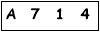 salt-8D451E8A