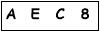 salt-6F251D8A