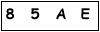 salt-A85CBC69