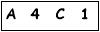 salt-5C598BA2