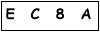 salt-8DBA4C27