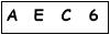 salt-613E6E1B